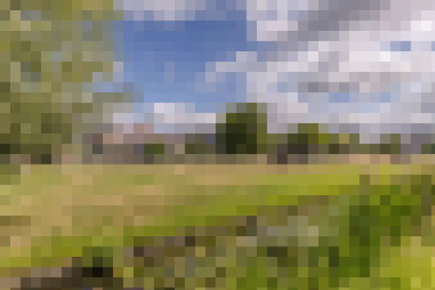 Accra 17 Wormer thumbnail 28