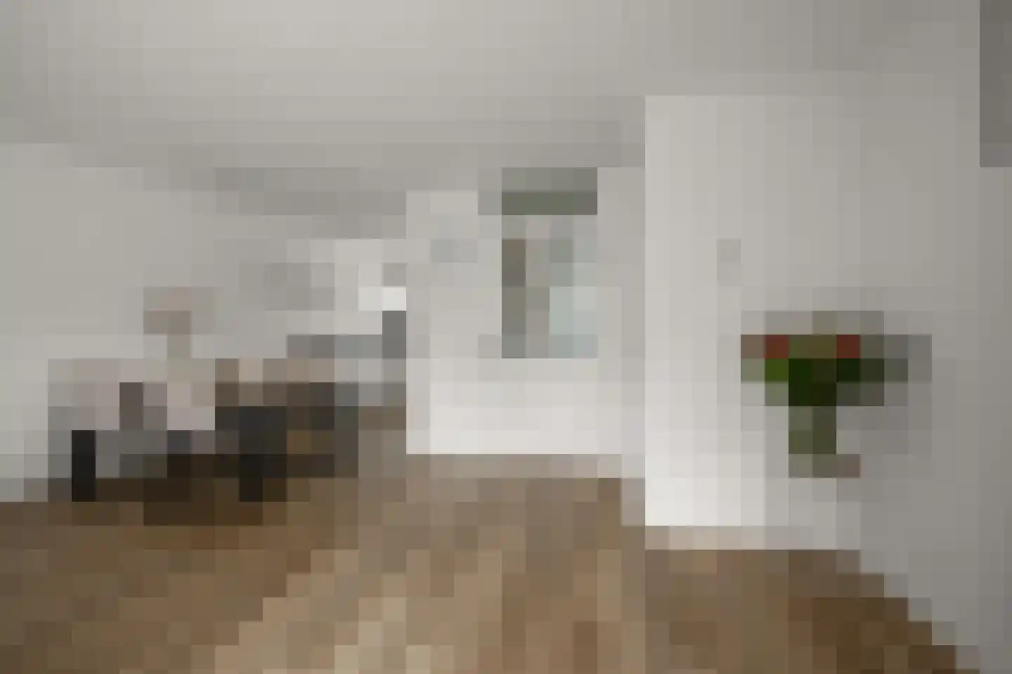 Accra 5 Wormer thumbnail 4