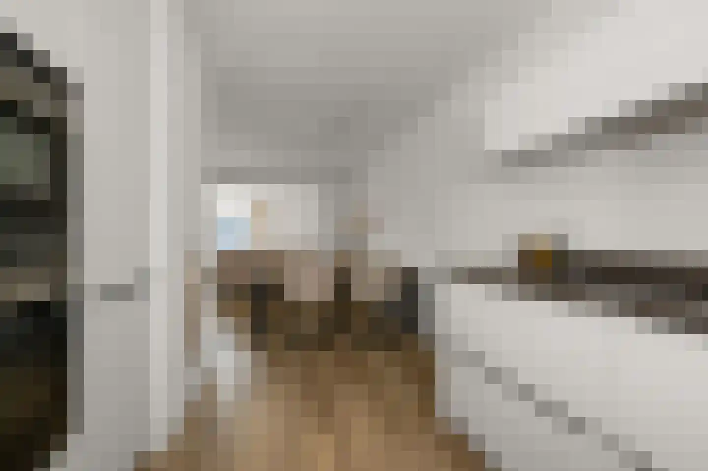 Accra 5 Wormer thumbnail 7