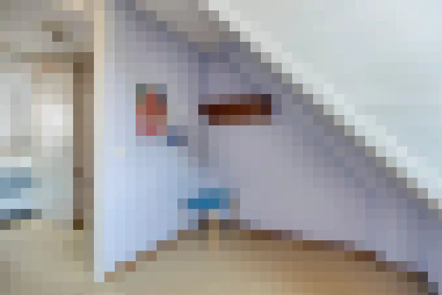 Accumulatorstraat 5 Eindhoven thumbnail 27