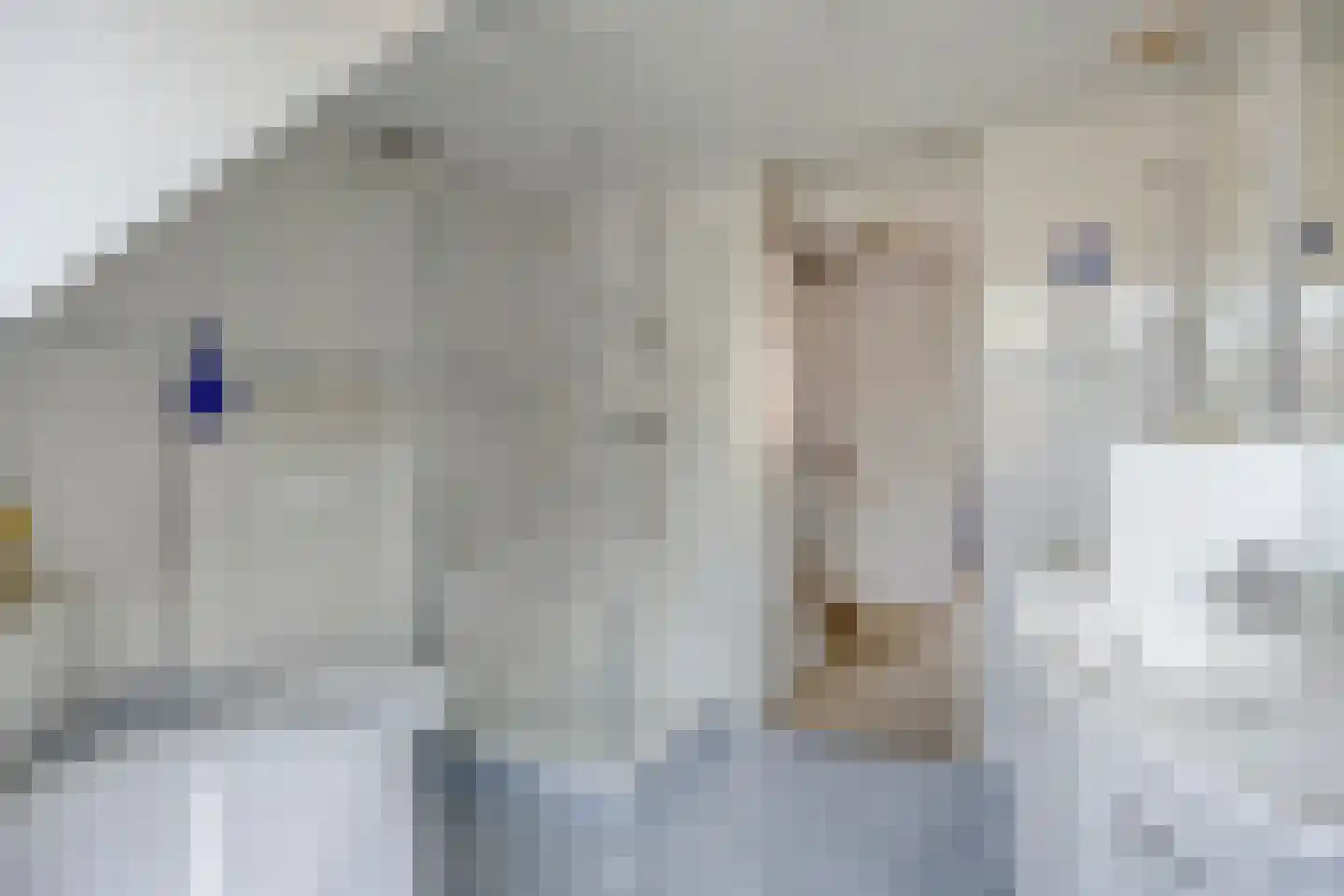 Accumulatorstraat 5 Eindhoven thumbnail 30