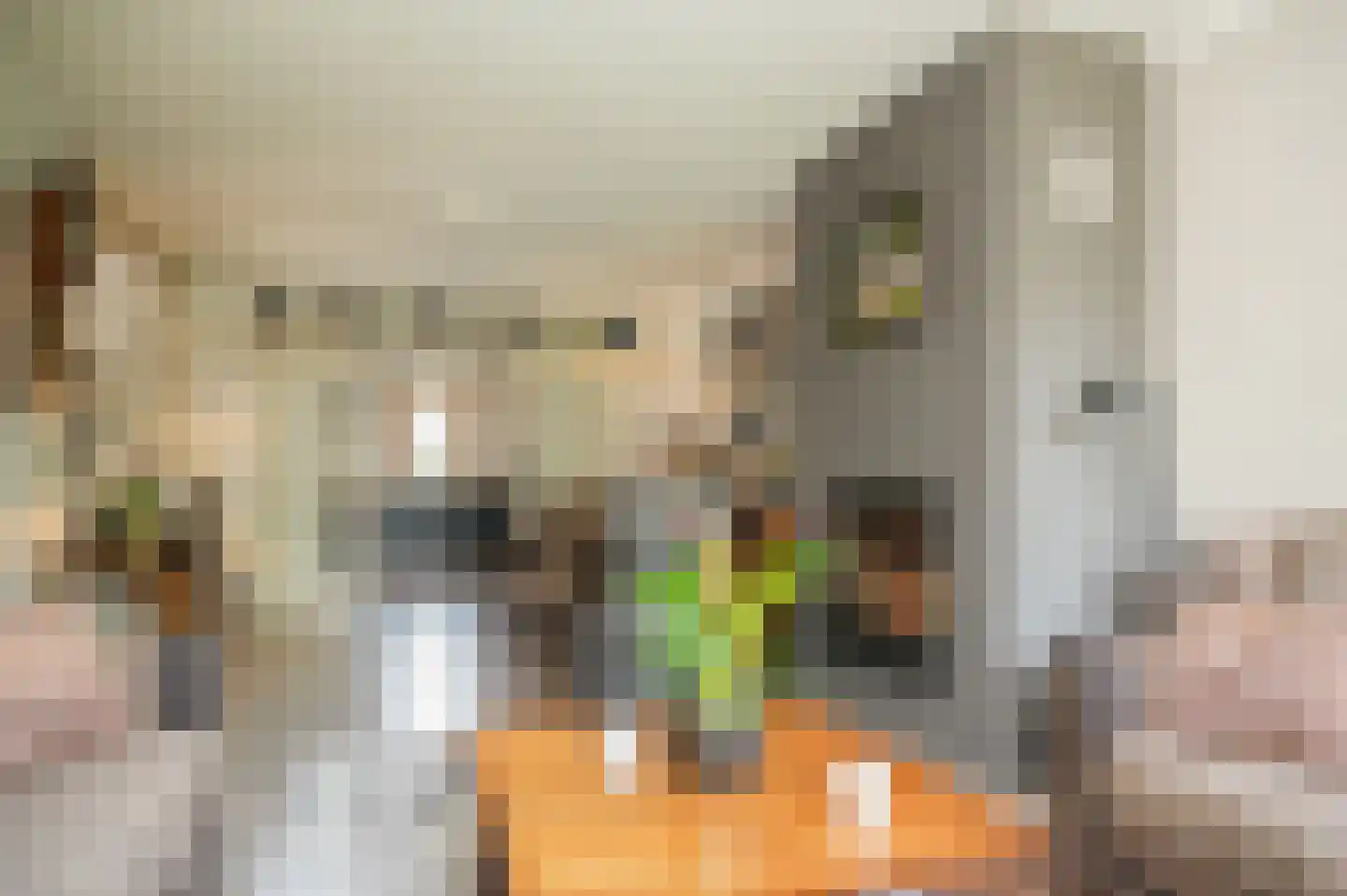 Acerstraat 8 Opheusden thumbnail 10