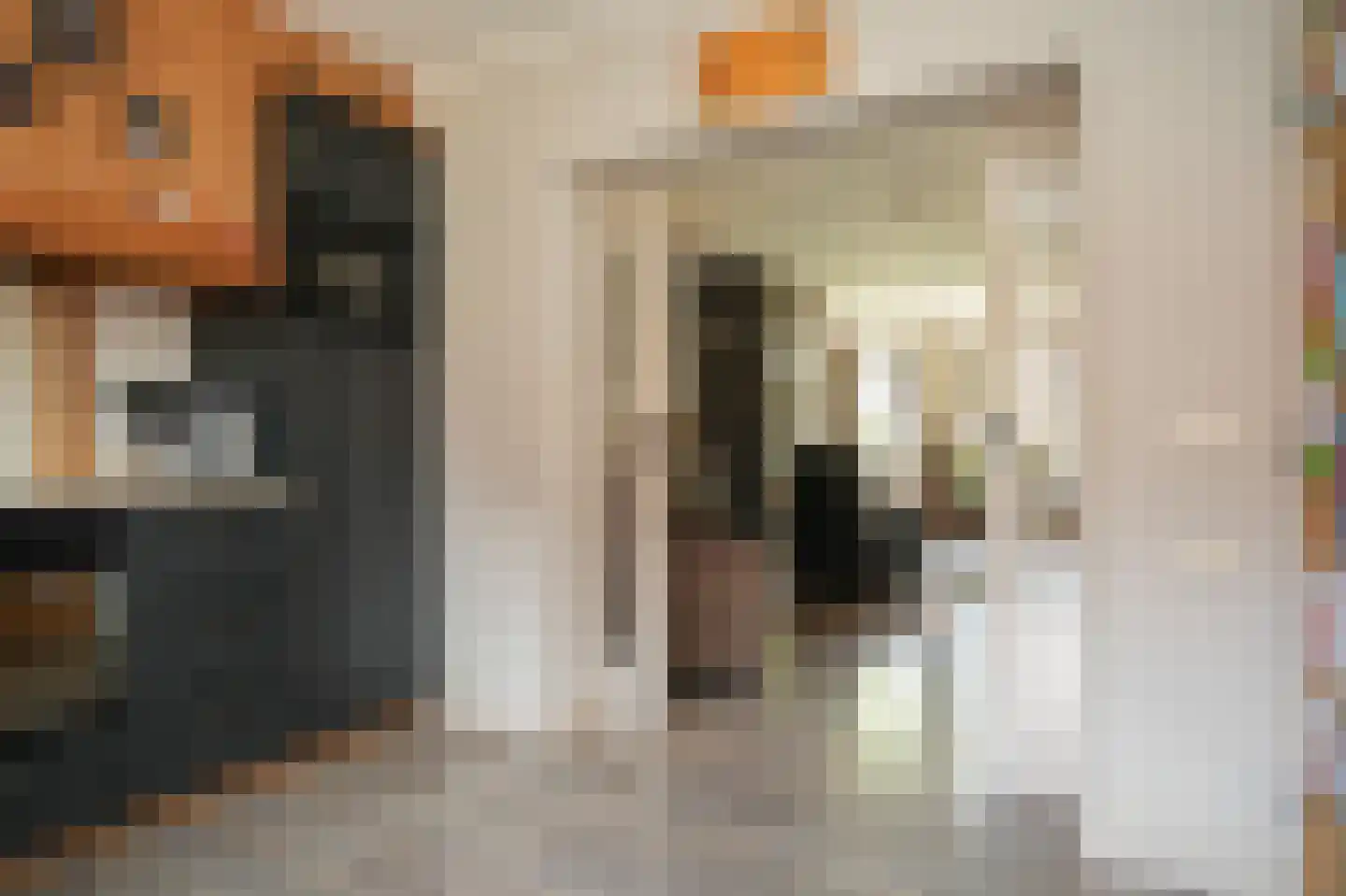 Acerstraat 8 Opheusden thumbnail 18