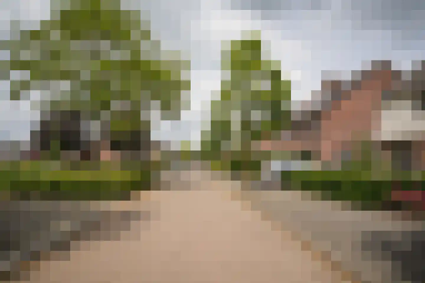 Acerstraat 8 Opheusden thumbnail 43