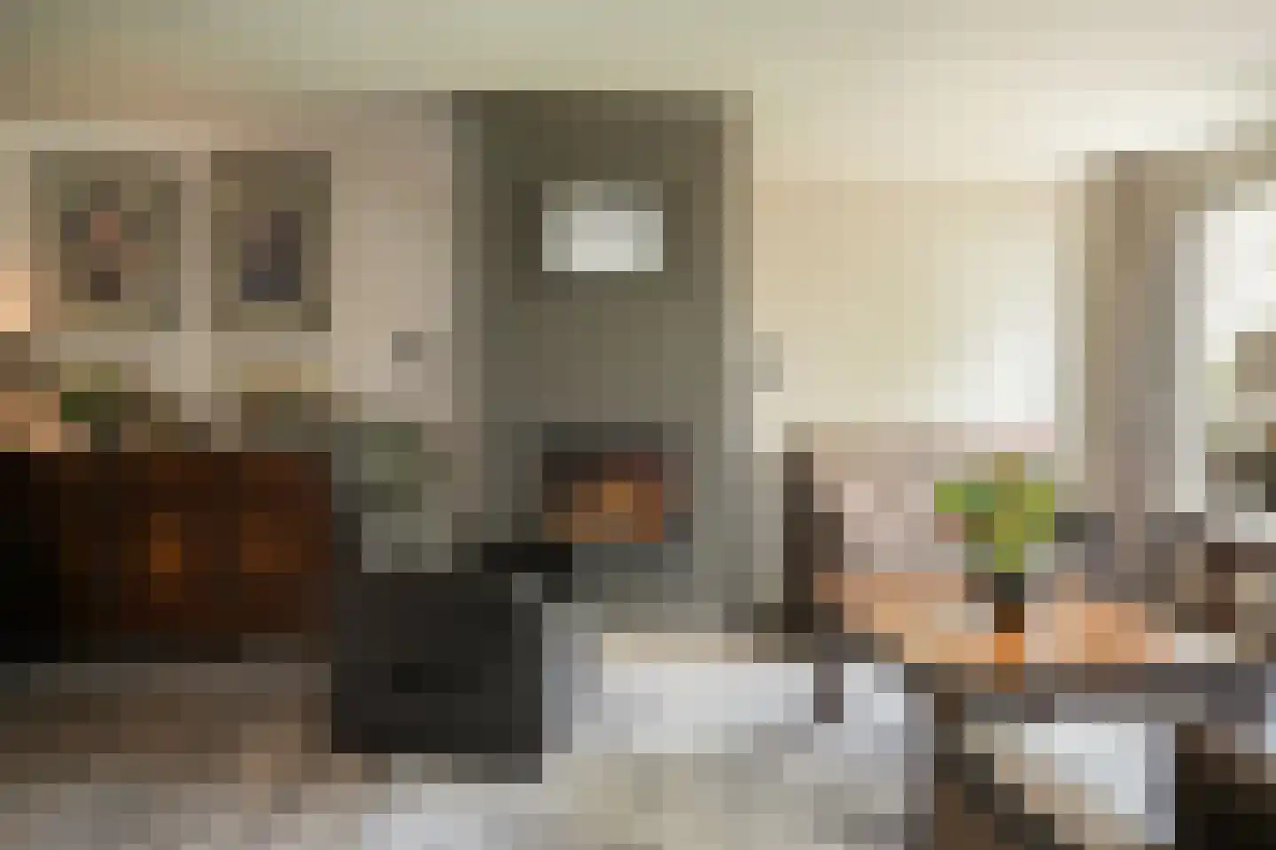 Acerstraat 8 Opheusden thumbnail 8