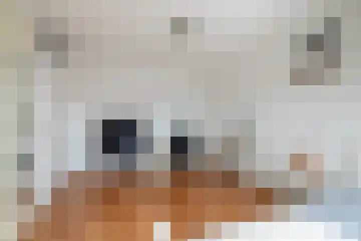 Achelpad 34 Purmerend thumbnail 23