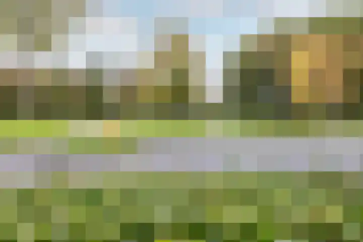 Achelpad 34 Purmerend thumbnail 43