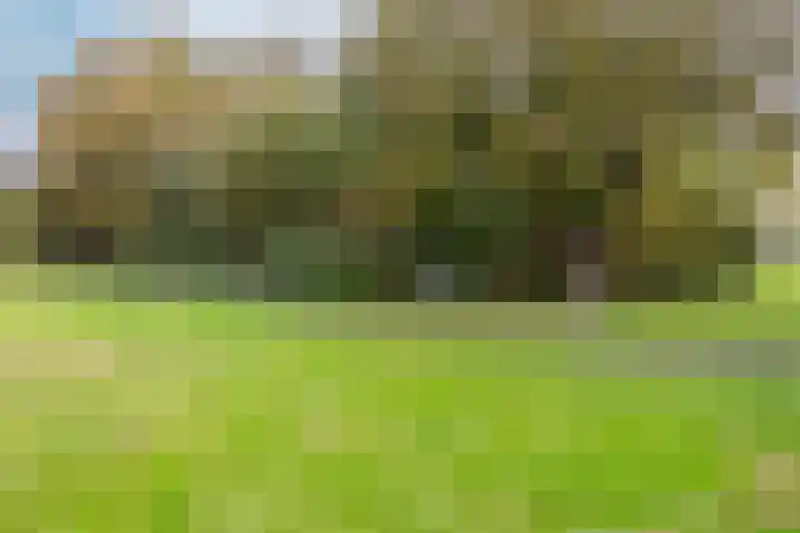 Achelpad 34 Purmerend thumbnail 45
