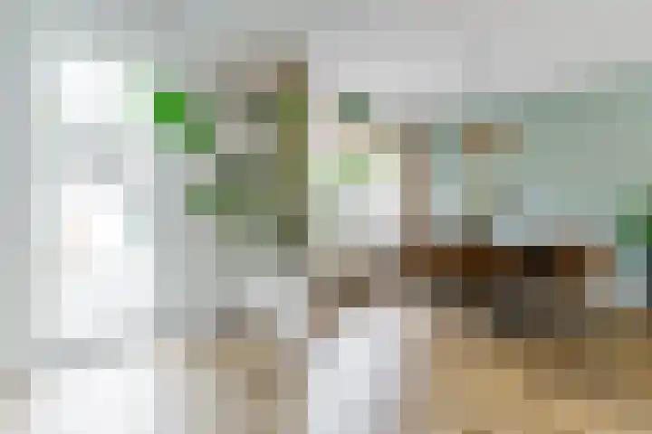 Achelstraat 10 Eindhoven thumbnail 13