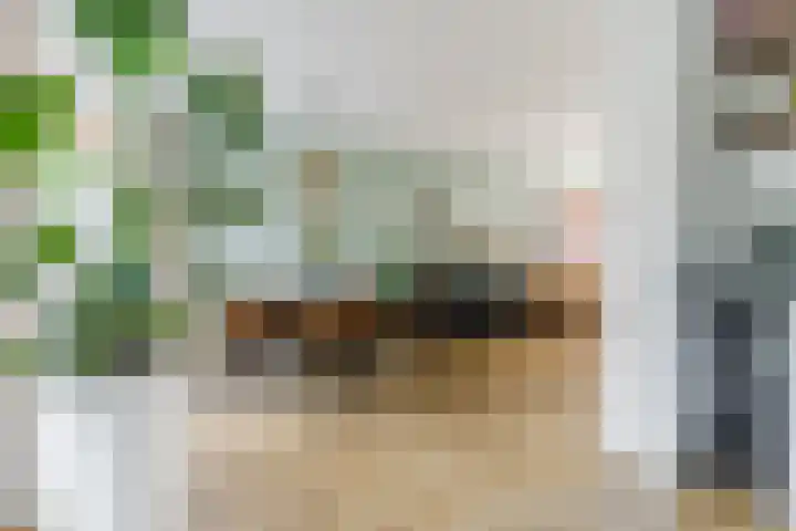Achelstraat 10 Eindhoven thumbnail 14