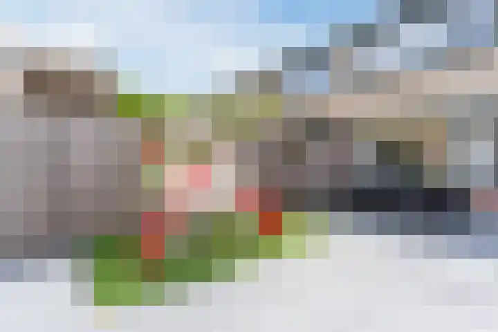 Achelstraat 10 Eindhoven thumbnail 32