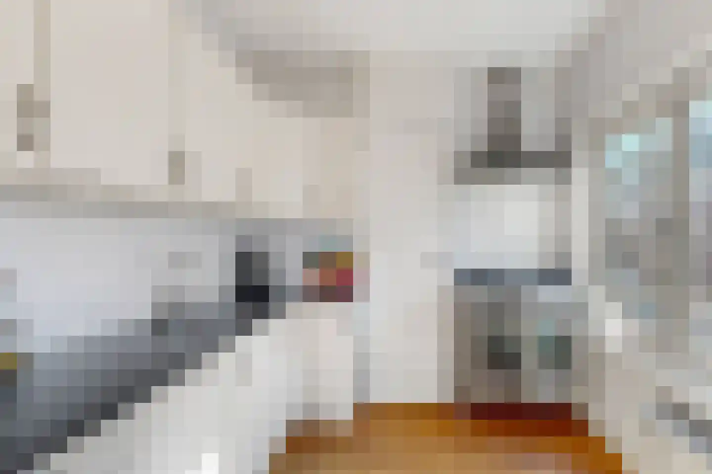 Achillesstraat 113 2 Amsterdam thumbnail 4