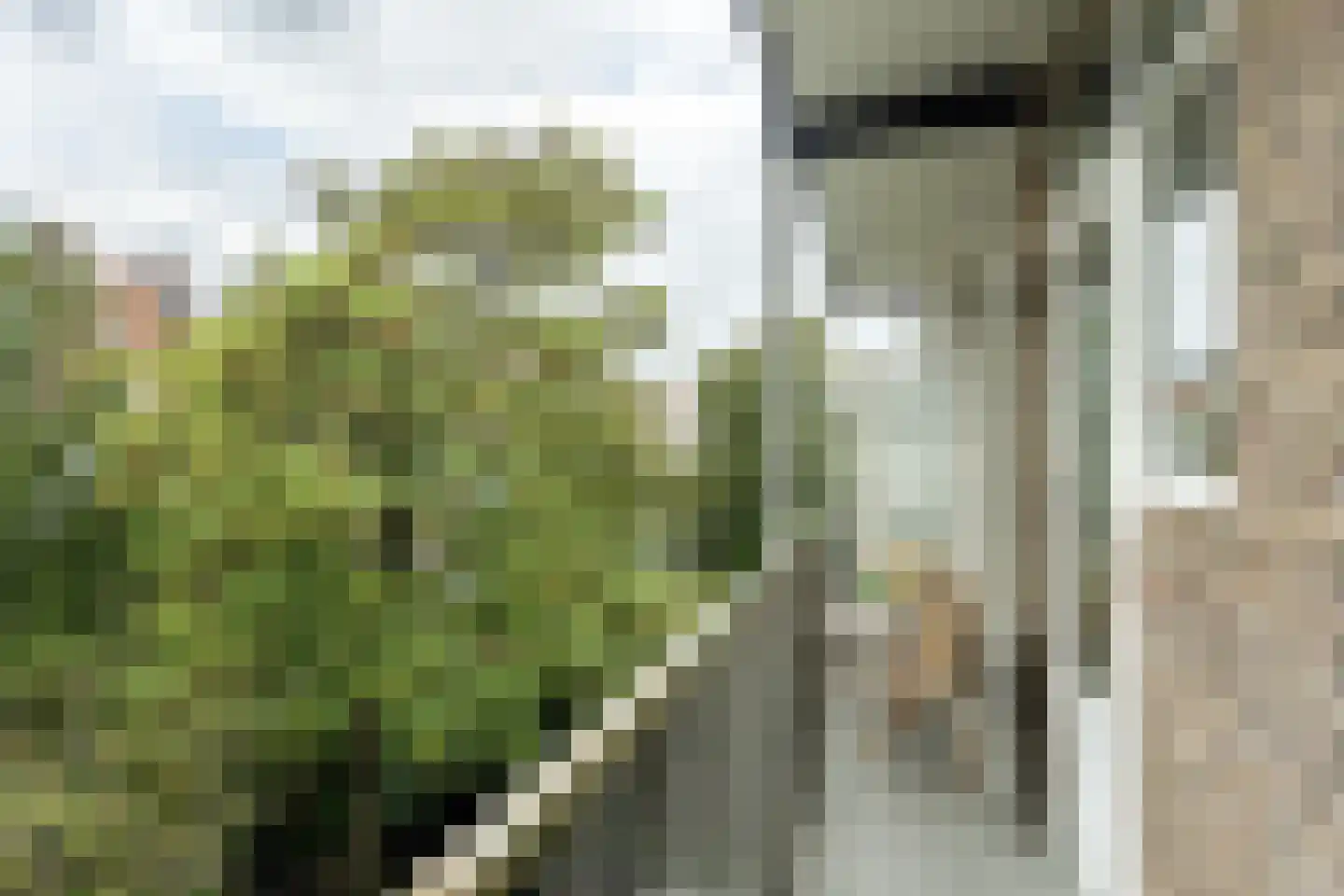 Achillesstraat 142 2 Amsterdam thumbnail 17