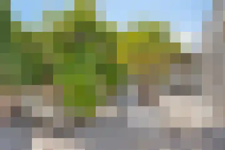 Achillesstraat 17 Rosmalen thumbnail 38