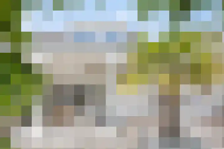 Achillesstraat 17 Rosmalen thumbnail 43
