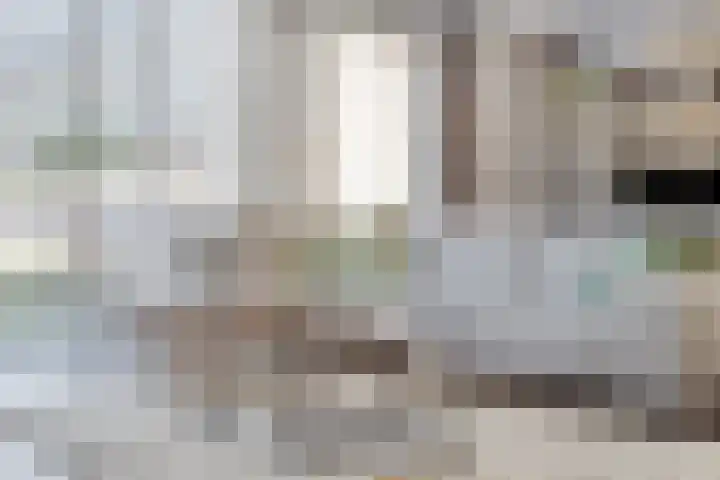 Achillesstraat 17 Rosmalen thumbnail 9
