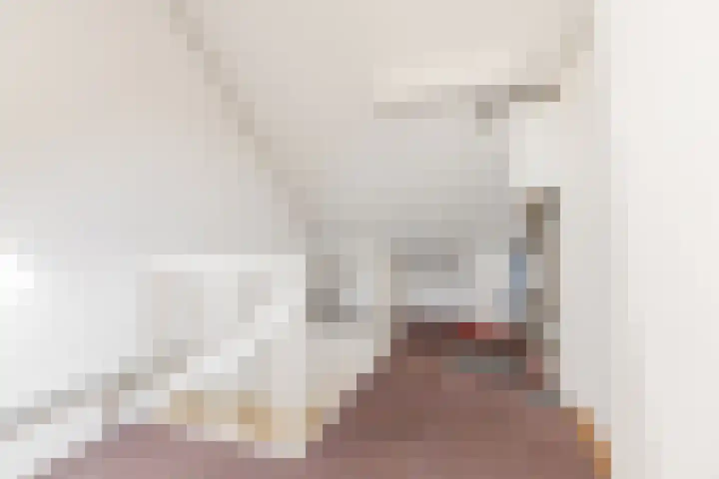 Achillesstraat 20 Bergen op Zoom thumbnail 38