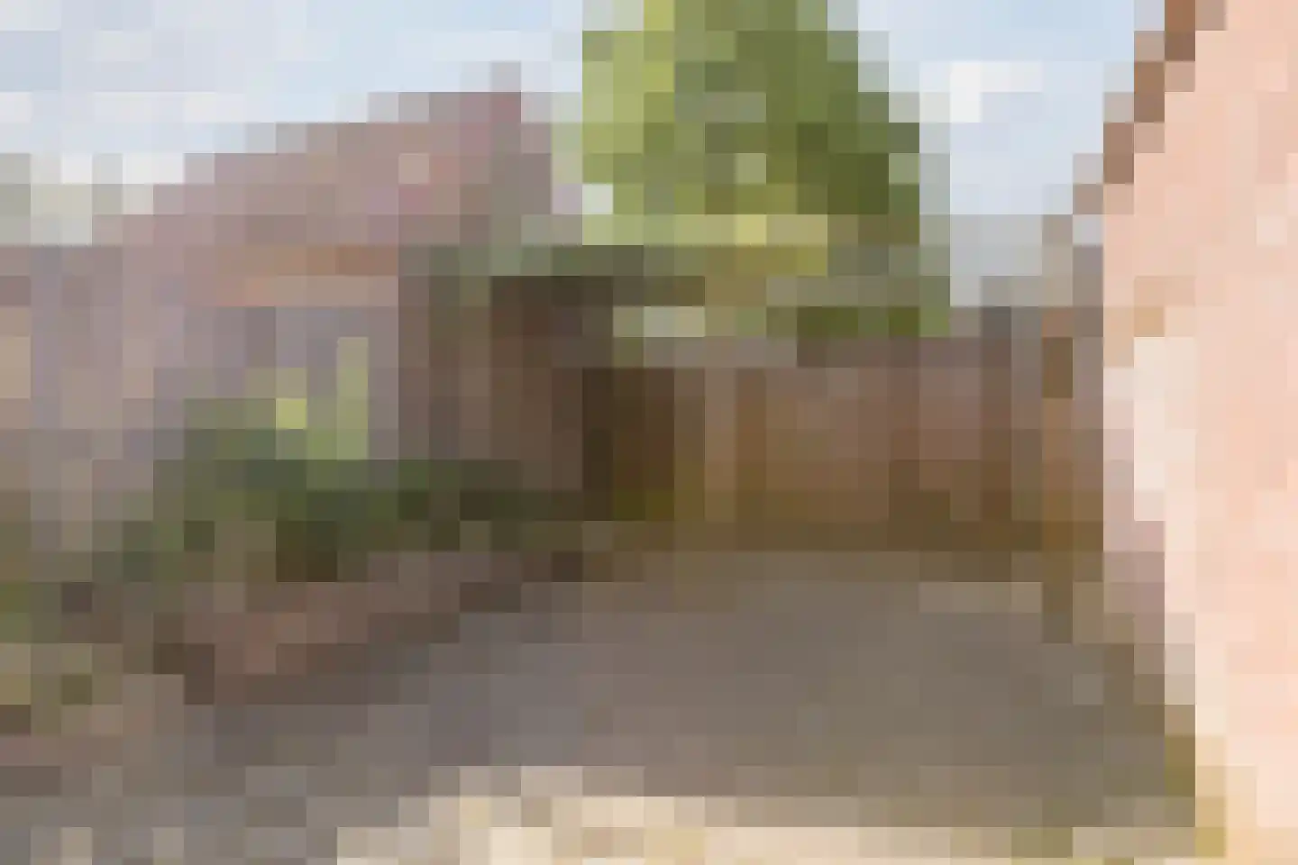 Achillesstraat 20 Bergen op Zoom thumbnail 42