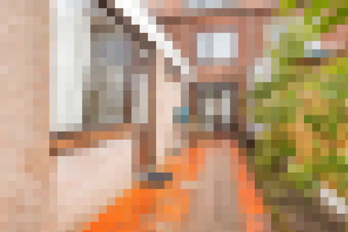 Achillesstraat 25 Bergen op Zoom thumbnail 31