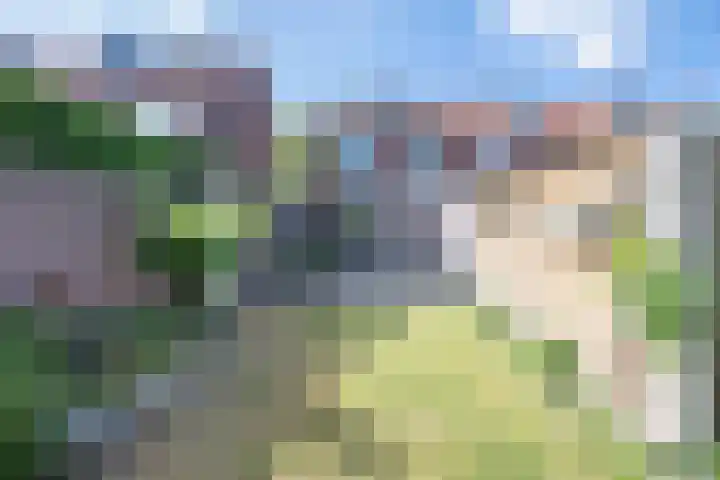 Achillesstraat 31 Bergen op Zoom thumbnail 17