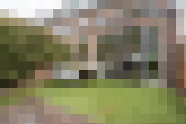 Achillesstraat 89 Breda thumbnail 33