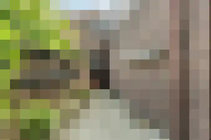 Achillesstraat 98 Breda thumbnail 35