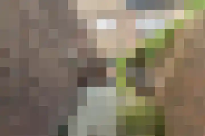 Achillesstraat 98 Breda thumbnail 36