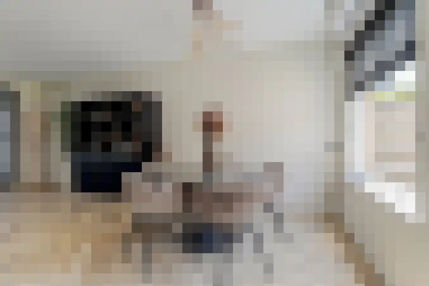 Achlumerhof 4 Harlingen thumbnail 11