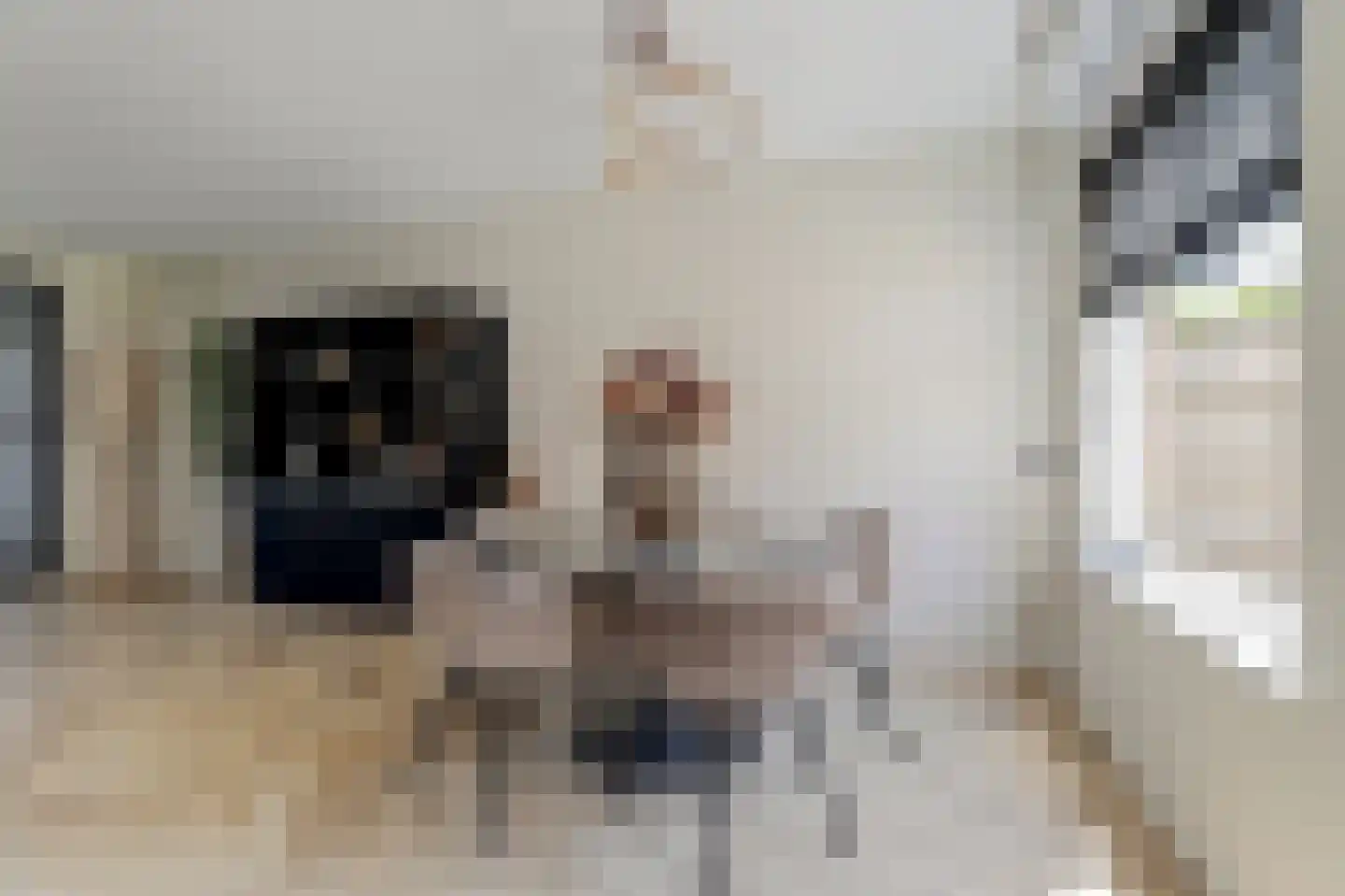 Achlumerhof 4 Harlingen thumbnail 12