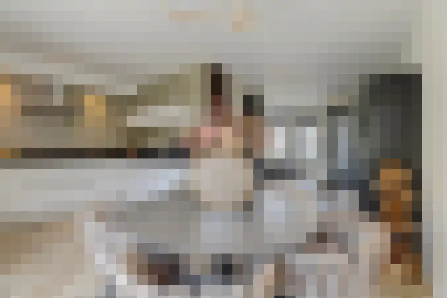 Achlumerhof 4 Harlingen thumbnail 13