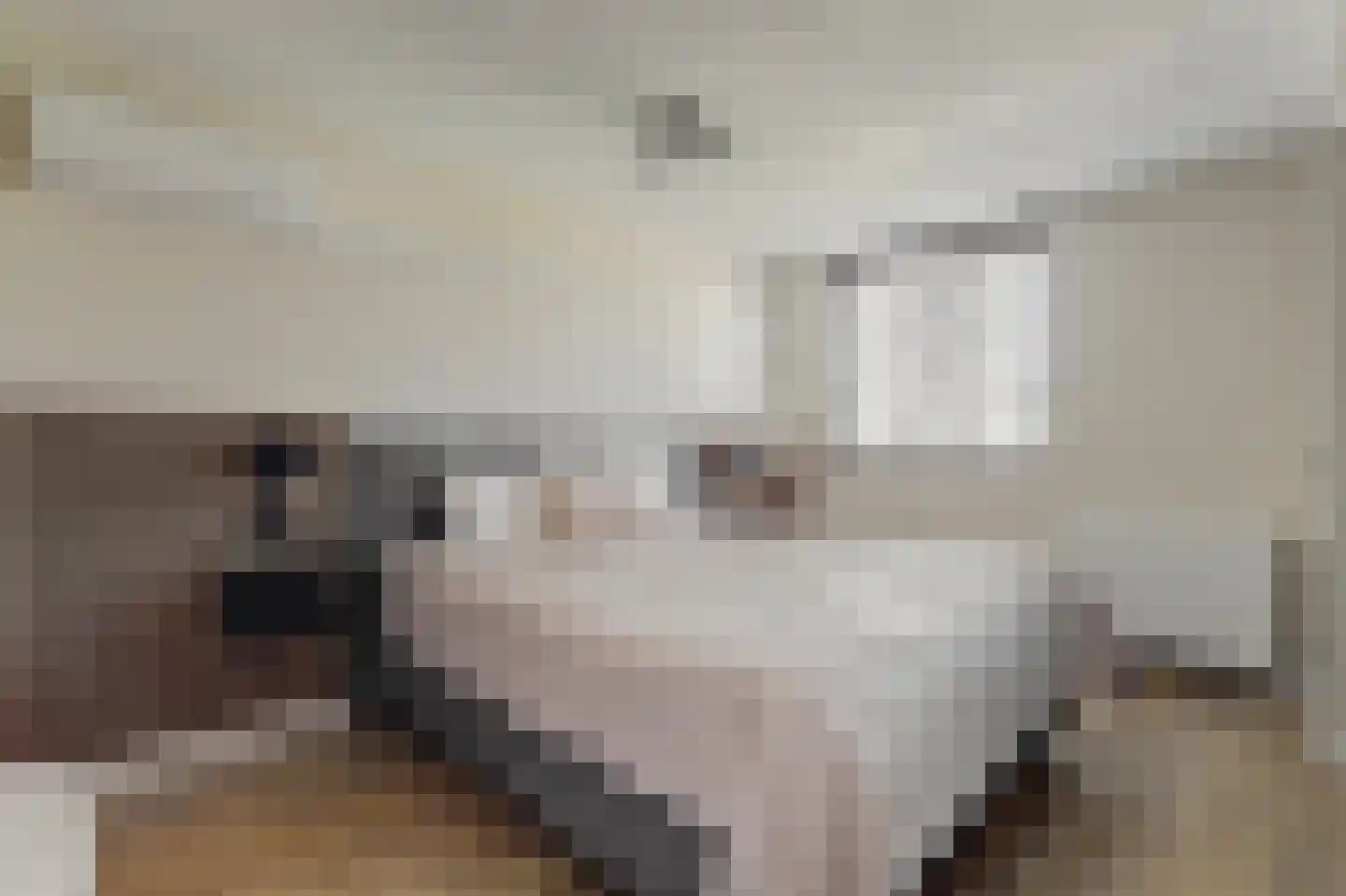 Achlumerhof 4 Harlingen thumbnail 21