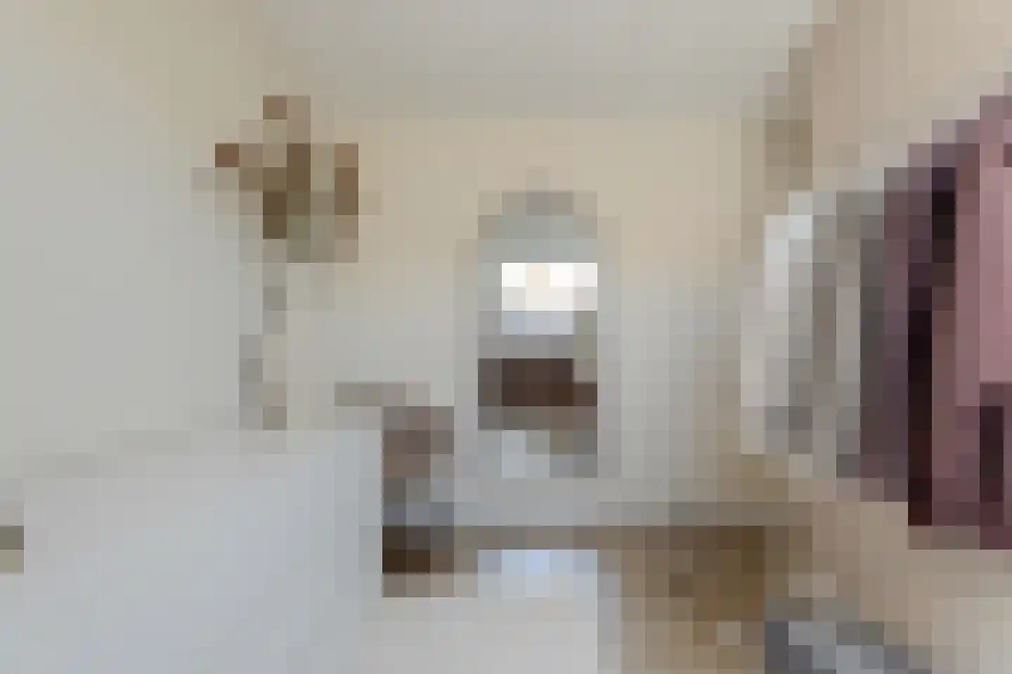 Achlumerhof 4 Harlingen thumbnail 24