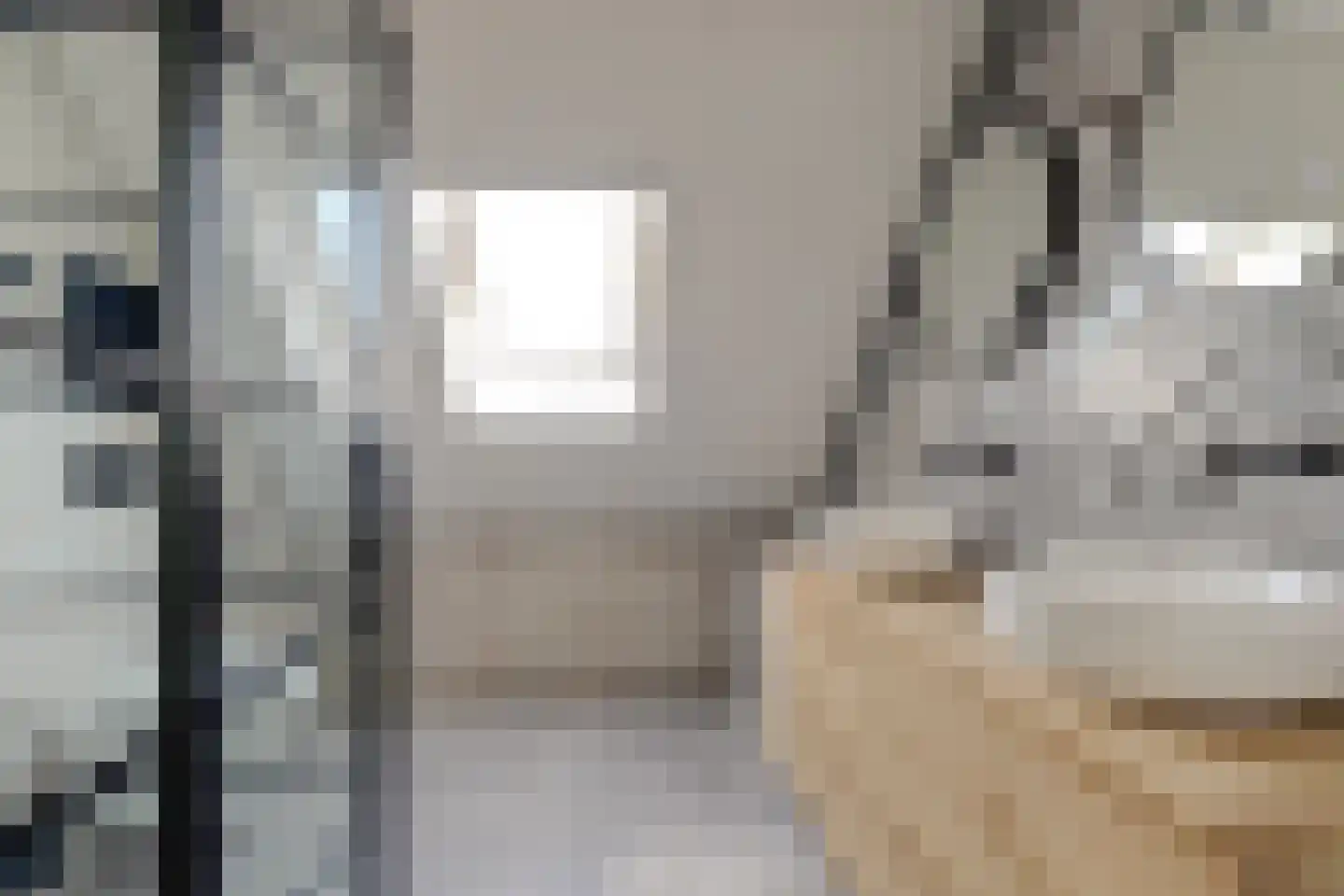 Achlumerhof 4 Harlingen thumbnail 28