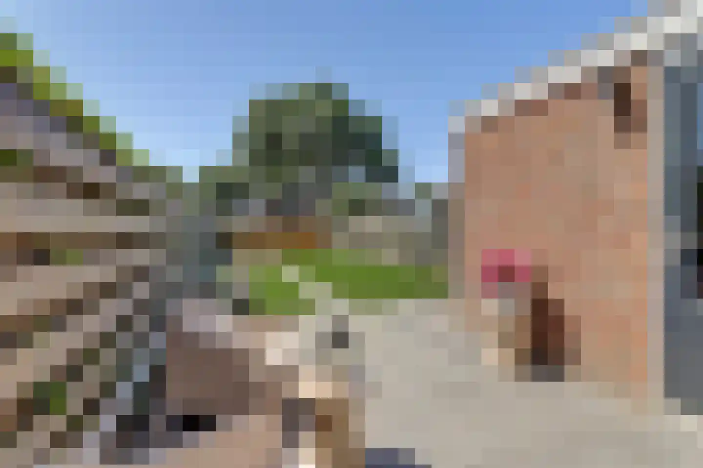 Achlumerhof 4 Harlingen thumbnail 30