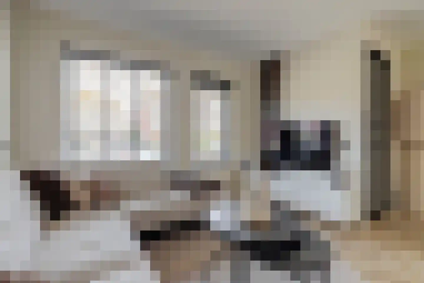 Achlumerhof 4 Harlingen thumbnail 5