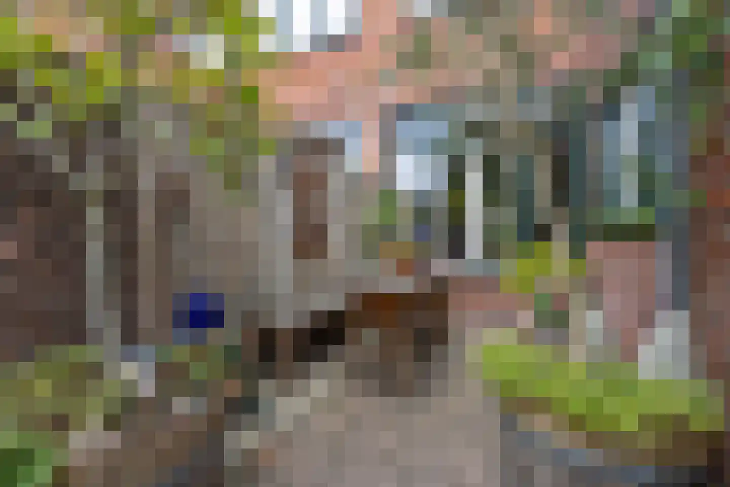 Achlumerstraat 5 Leeuwarden thumbnail 33