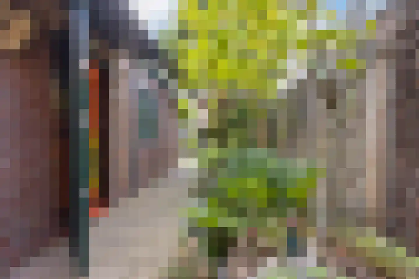 Achlumerstraat 5 Leeuwarden thumbnail 34
