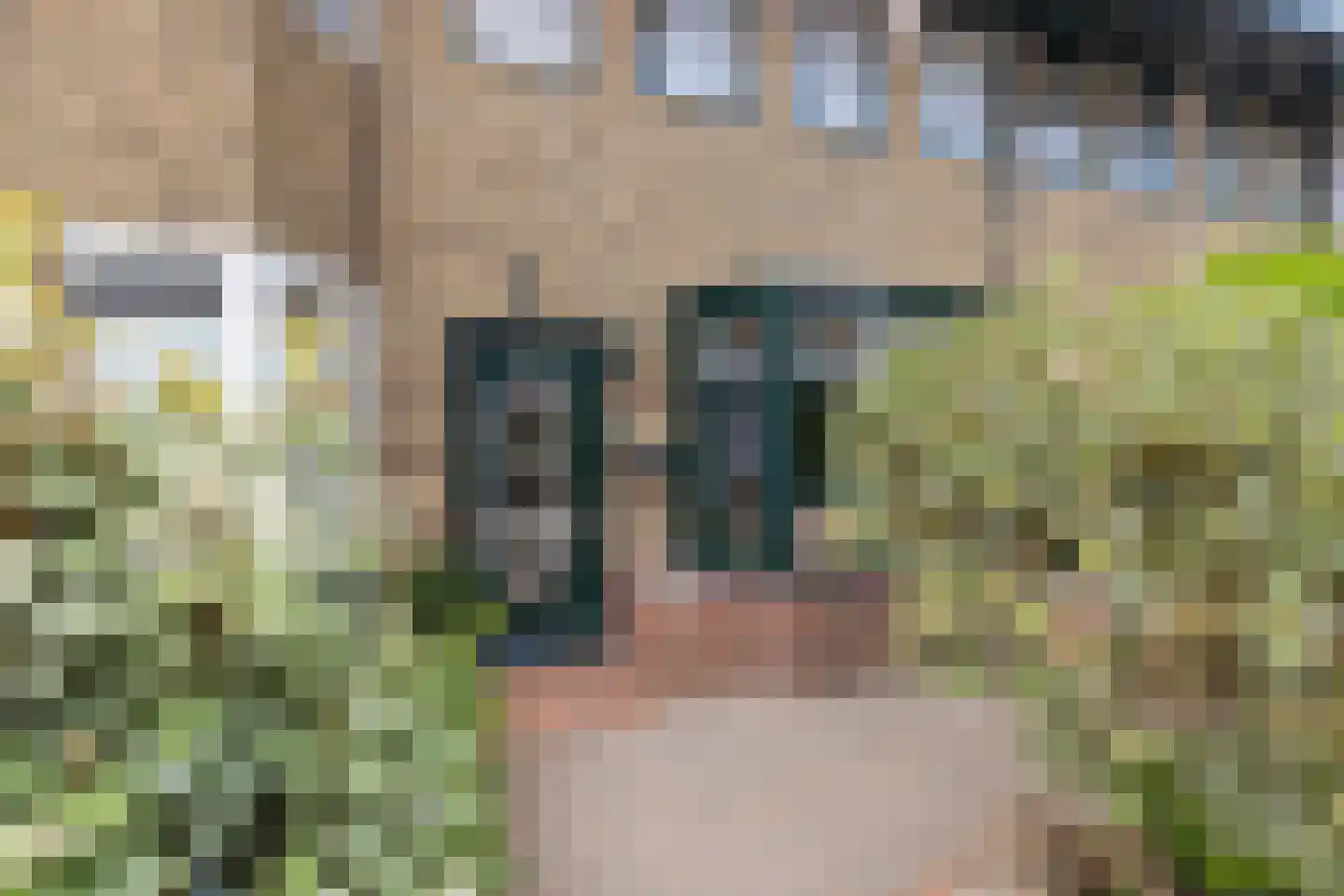 Achlumerstraat 5 Leeuwarden thumbnail 6