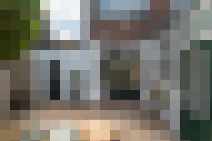 Achlumerstraat 6 Leeuwarden thumbnail 64