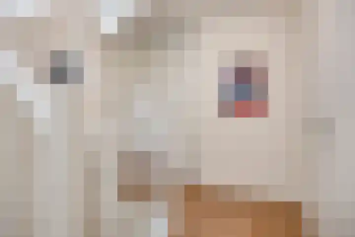 Acht Gemeten 9 Goes thumbnail 14