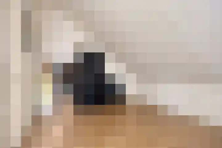 Acht Gemeten 9 Goes thumbnail 23