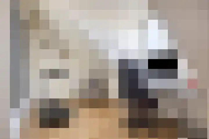 Acht Gemeten 9 Goes thumbnail 25