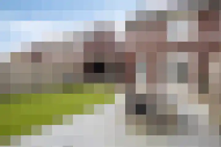 Acht Gemeten 9 Goes thumbnail 30