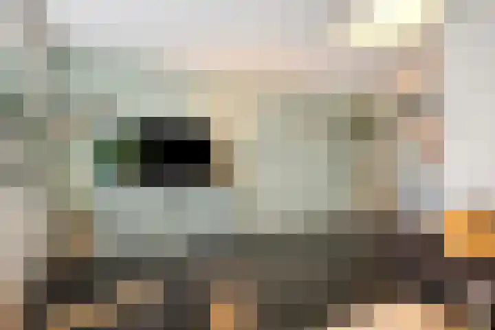 Acht Gemeten 9 Goes thumbnail 6