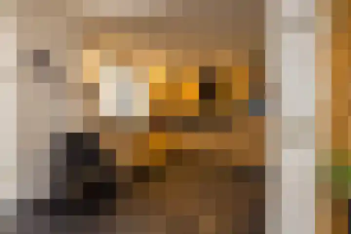 Achtbunderstraat 18 Klimmen thumbnail 11