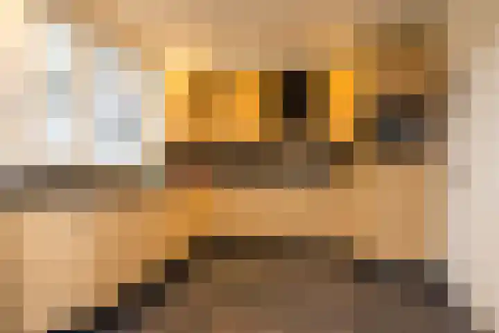 Achtbunderstraat 18 Klimmen thumbnail 12