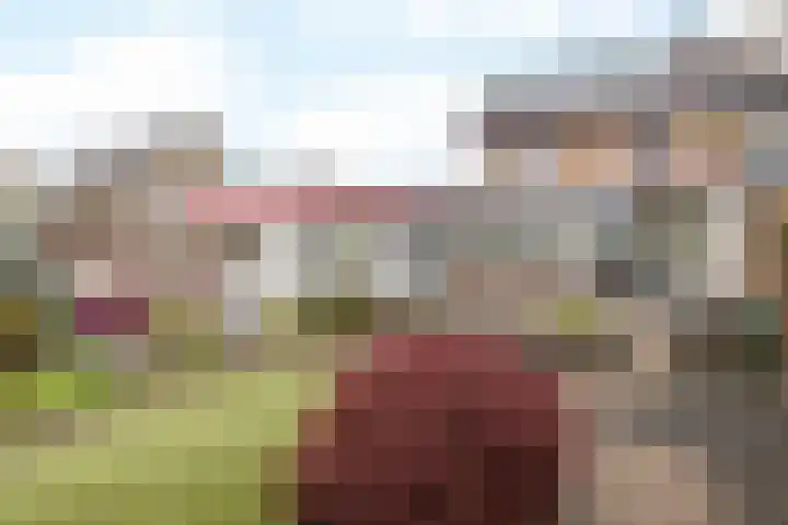 Achtbunderstraat 18 Klimmen thumbnail 27