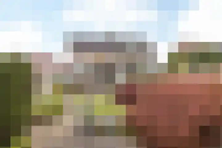 Achtbunderstraat 18 Klimmen thumbnail 29
