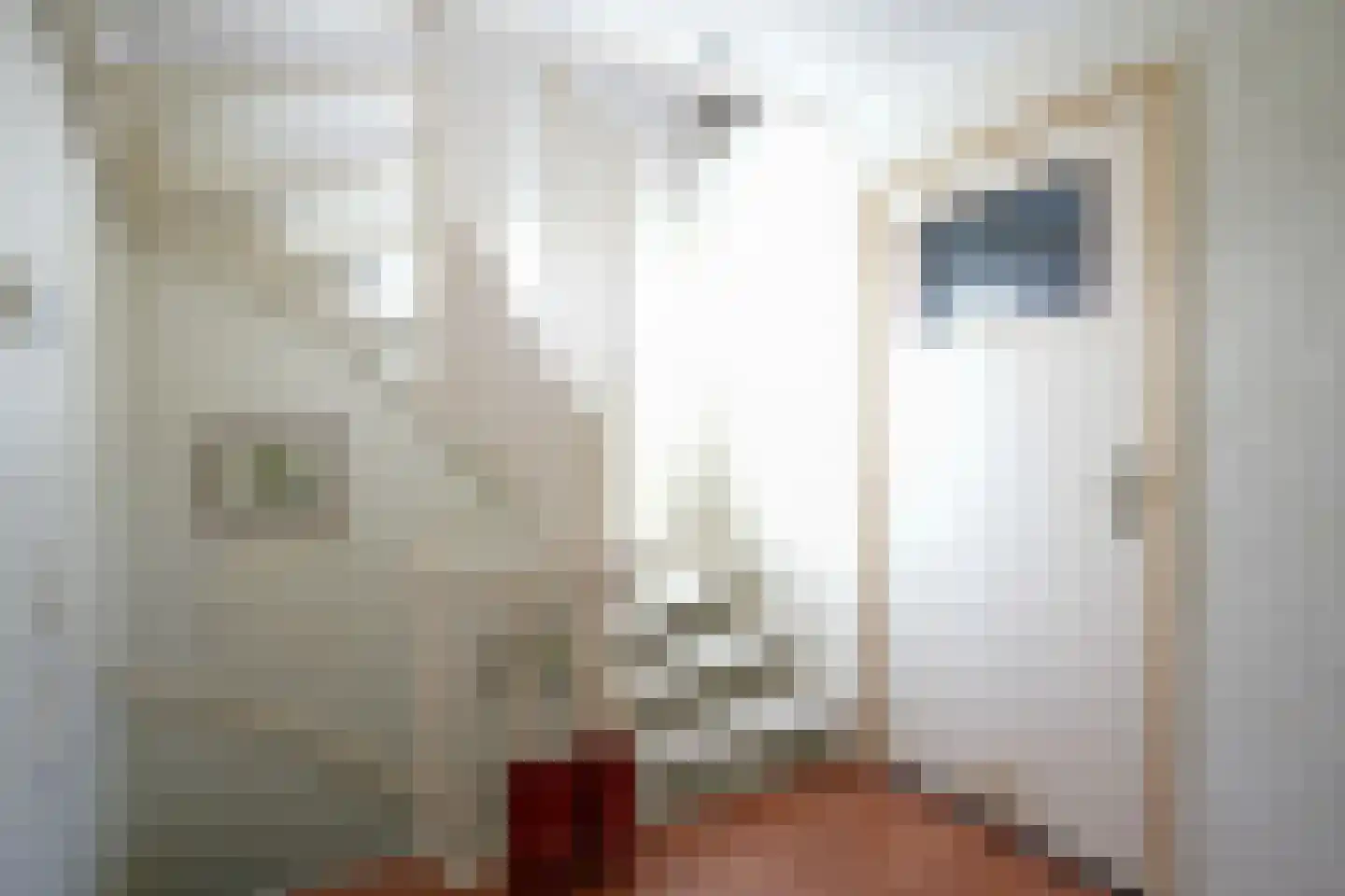 Achtbunderstraat 19 Klimmen thumbnail 21