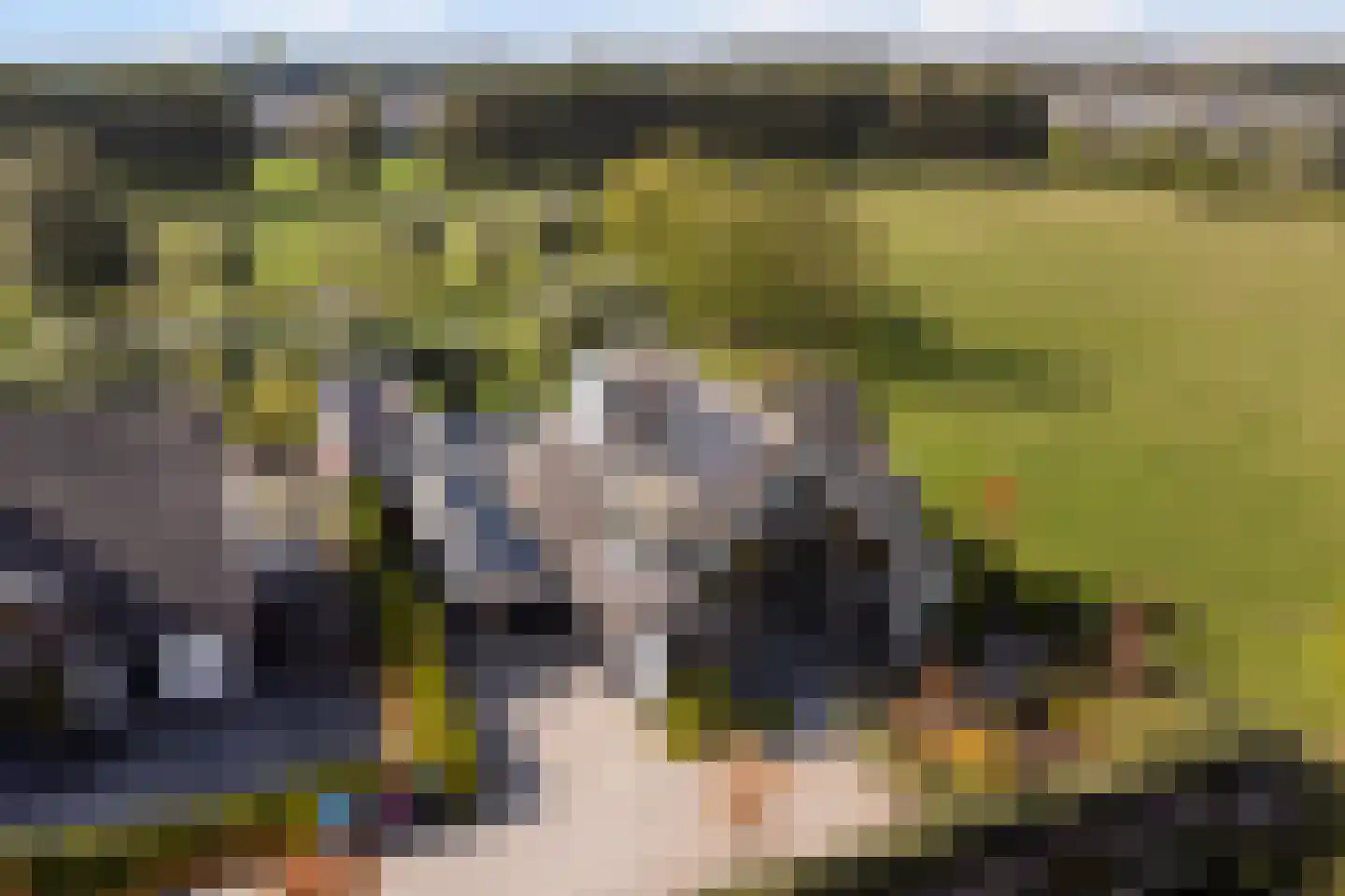 Achter-Catwijk 17 in Pijnacker